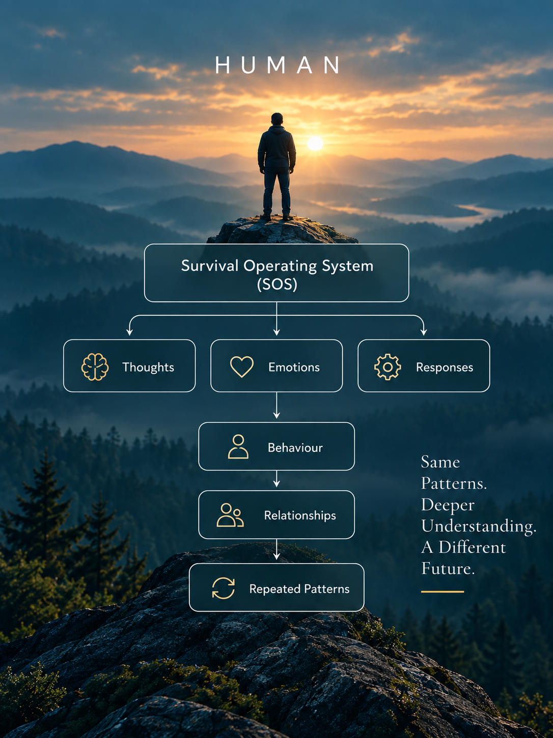 Human - SOS2 Survival Mechanism